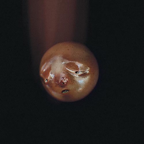 poolblood – mole